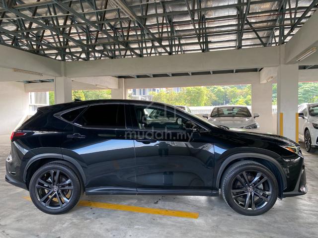 2023 Lexus NX250 VERSION L FREE TINTED - 5