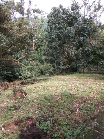 Broga -14.5 acre 5