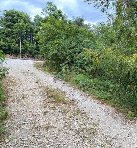 Tanah Cantik 6 Ekar Bawah Kawasan Membangun 1