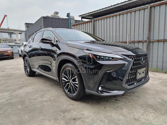 MARK LEVINSON 2023 Lexus NX250 2.5 LUXURY OFFER - 1