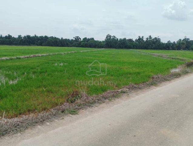 201 Tanah Bendang Dan Lot Rumah Freehold Di Semanggol Perak 1