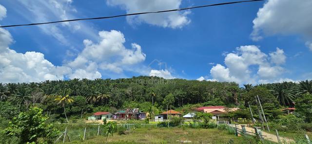 FOR SALE TANAH PERTANIAN @ Kg Pilin, Rembau (dekat UiTM Rembau) 1
