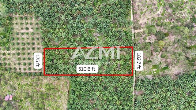 FREEHOLD INT’L LAND 2.1ac @ Kg Sri Makmur, Tangkak, Muar [CHEAP] 1