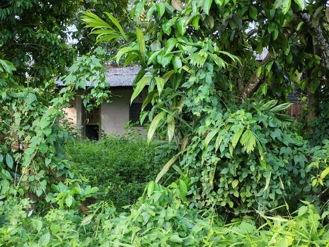 Tanah + Rumah Lama Untuk Di Jual 1