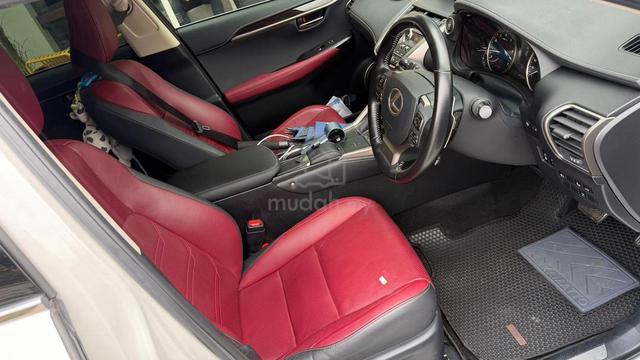 2020 Lexus NX300 2.0 PREMIUM (A) - 4