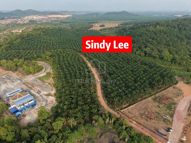 Land Agriculture sale at Sungai Petani 9.76acre easy access road Kedah 1