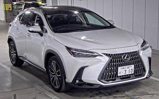 2022 Lexus NX 250 2.5 VL BLACK INTERIOR PANORAMIC - 1