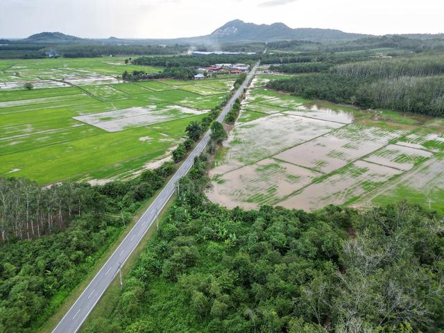 12 Acre Agricultural Land Jitra Kedah For Sale Tanah Untuk Dijual 1