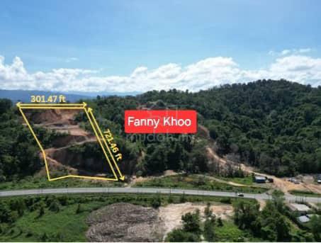 Facing Main Road | Melinsung Lok Kawi | CL 999 | 4.7 Acres 3