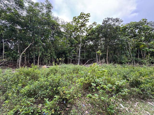 Development Agriculture Freehold Land Taman Universiti Bangi Ukm 1