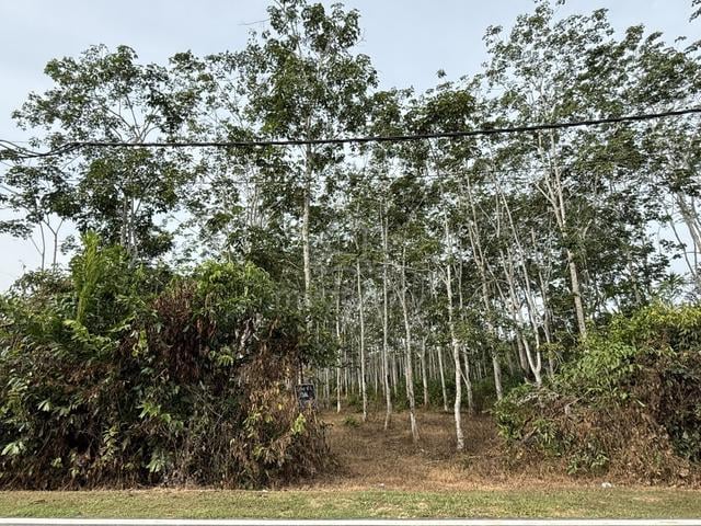 tanah kebun freehold area napoh jitra 1