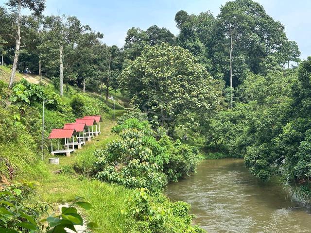 GLAMPING CAMP DAN KEBUN DURIAN 📍 Jalan Ampang Pecah Rasa , Kuala Kubu 1