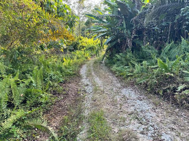 Freehold Agriculture Land For Sale At Sungkai,Bidor,Perak 1