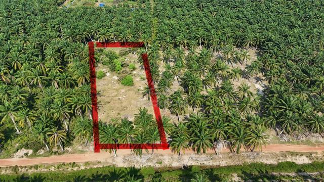 Tanah Murah Linggi Pasir Panjang  1