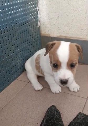 Carousel Image