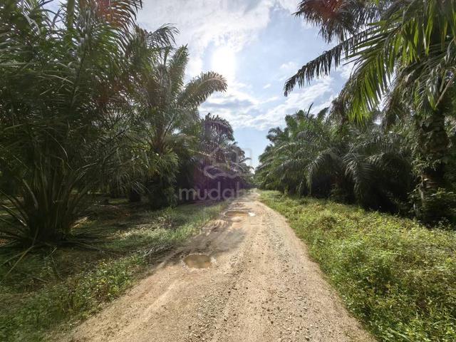 5acres Freehold Agriculture Land Jeram Kuala Selangor 1