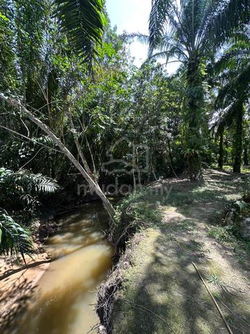 Tanah Pertanian Pekan Nenas Pontian Johor Good Investment 1