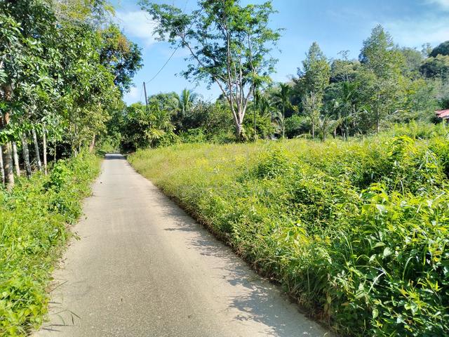 Tanah Nami Lama Padang Terap untuk tapak rumah,dusun,kebun atau Aset 2