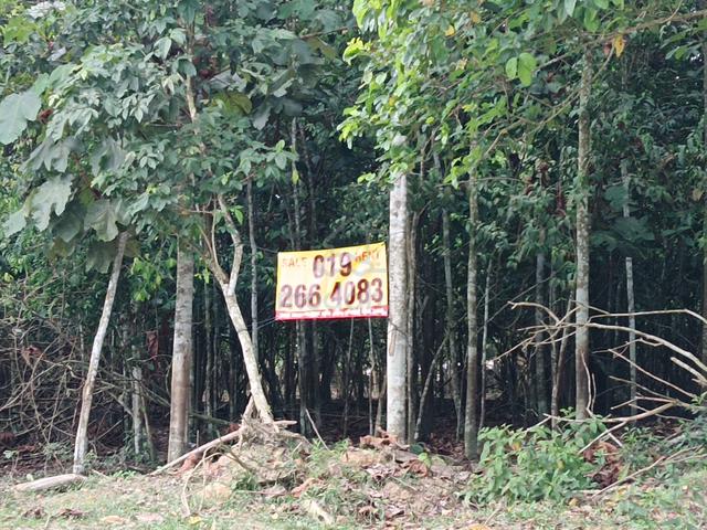 SENDAYAN Freehold 2.5acres. Near KLIA, PLUS, HSR, WCE. 1