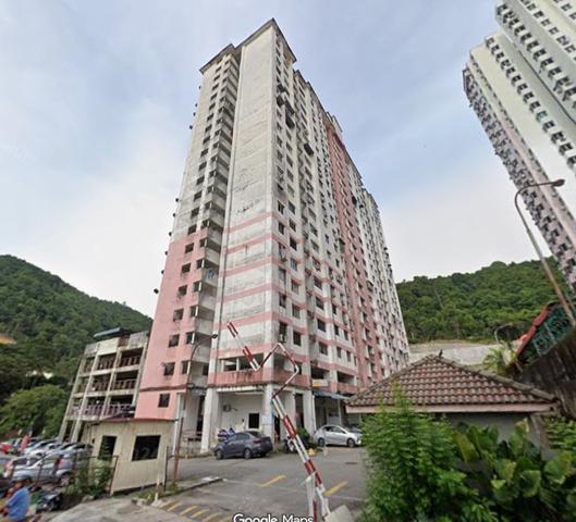 Greenlane Heights 1