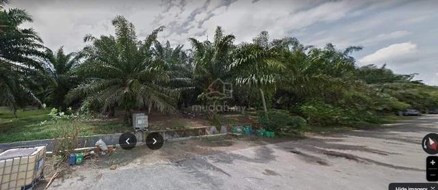 Melaka Jasin Agricultural Freehold Land For Sale 1