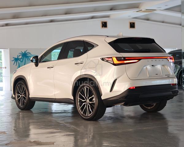 2023 Lexus NX 250 2.5 VERSION-L NX250 HUD DIM 360 - 2