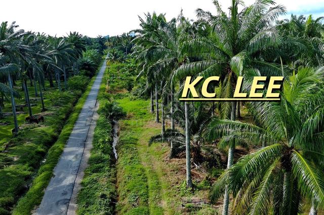 3.83 Acres Land For Sale @ Sungai Jawi , Sungai Bakap 1