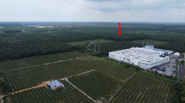 5 Acre Freehold Land Persiaran Nova Sungai Pelek Sepang For Sale 1