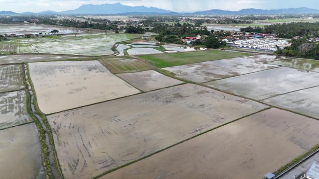 Pulau Pinang Penaga Agricultural Land For Sale 44 acres 1