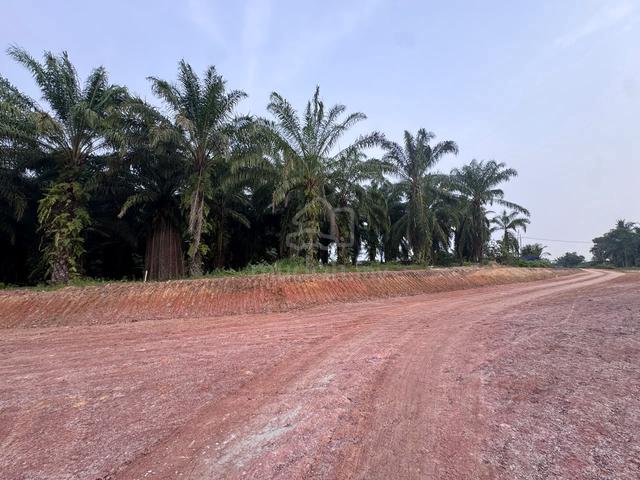Land for sale – Near Jalan Apas Batu 5 Town, Next to school (9 acres) 1