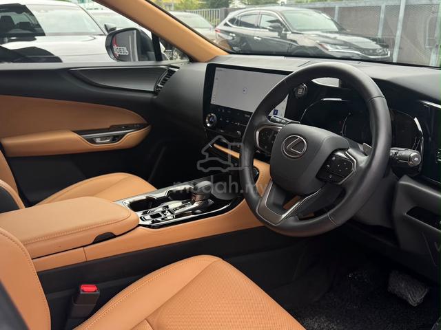 2023 Lexus NX250 2.5 LUXURY MY22 (A) - 5