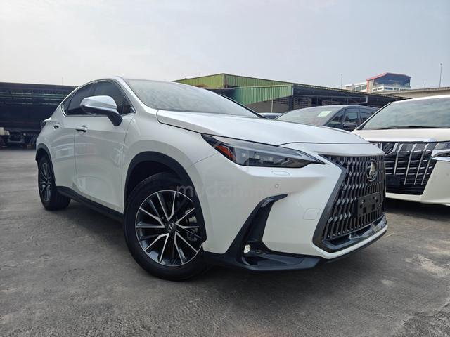 2023 Lexus NX 250 Luxury 4Cam Brown Leather DIMHUD - 1