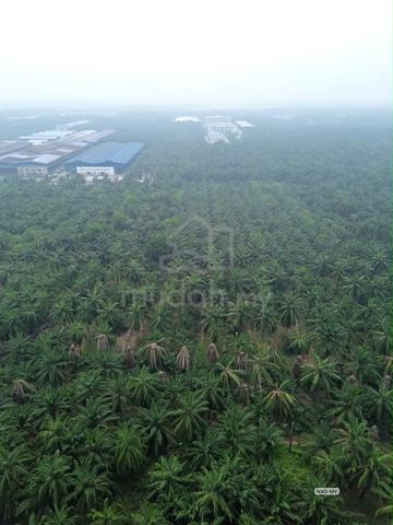 HOT SALE🔥5.31 Acre Industry Land！Telok Panglima Garang Jenjarom Klang 1