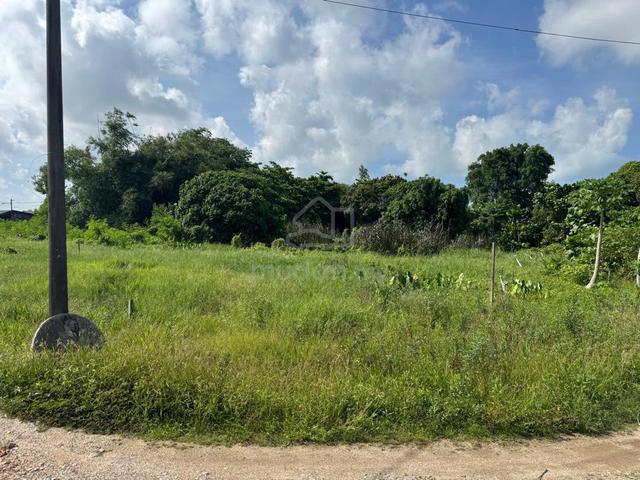 Tanah Untuk Di Jual di Pokok Mangga, Melaka 1