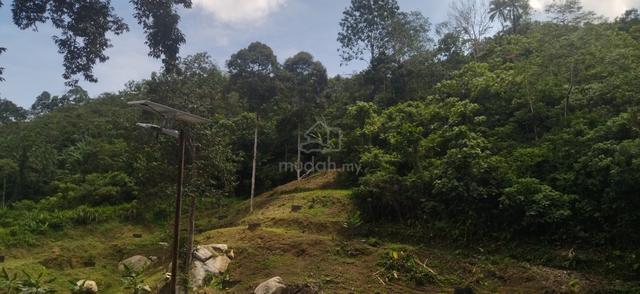 Tanah Untuk Buat Dusun Buahan Di Jelebu- 20 min dari Paroi Seremban 1