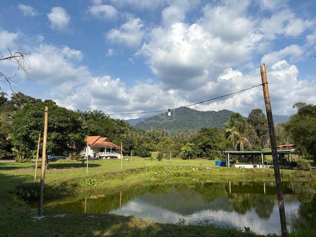 Dusun dan rumah 1