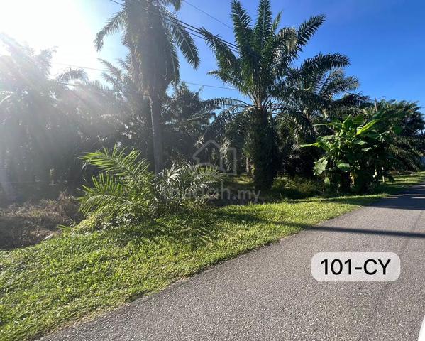 NEXT TO ROAD!! Telok Panglima Garang Sijangkang 5 Acres Agri Land 1