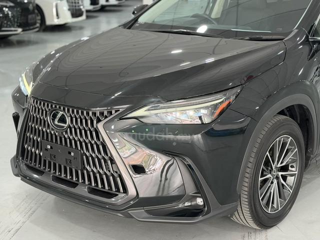 2024 Lexus NX250 2.5 SUNROOF Full Leather RDY UNIT - 2