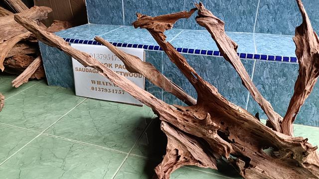 Driftwood for aquascape tank 2.5-3ft - photo 3 of 6