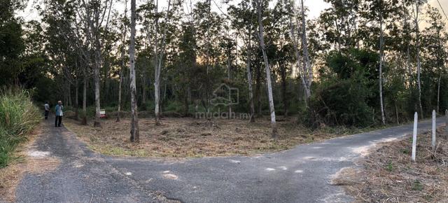 Kebun Getah di Hutan Lembah 1