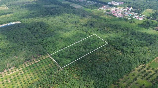 Tanah Pertanian freehold  Di Muallim Tanjung Malim  Perak 1