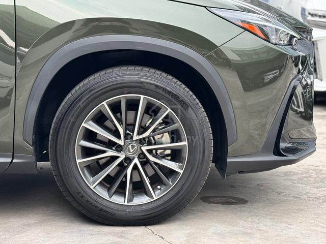 2023 Lexus NX250 Base 2.5 / Black Interior RARE - 5