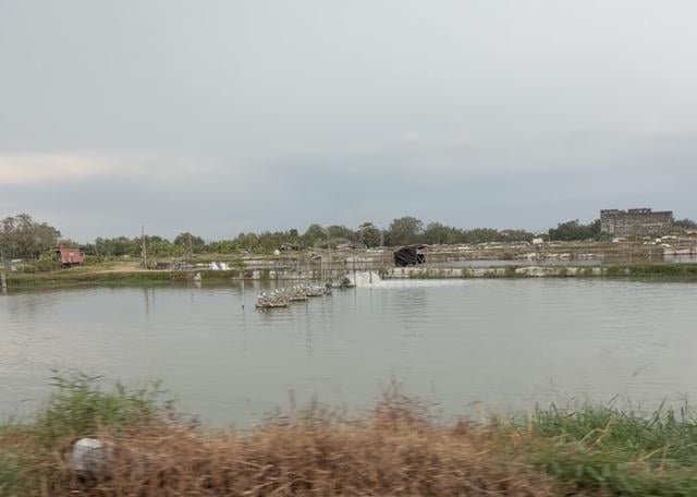 Nibong Tebal Seafront Aquaculture Farm for Sale - Penang 1