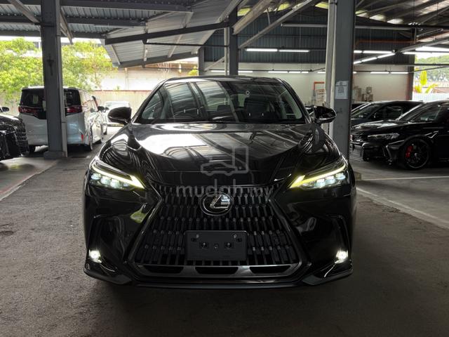 2023 Lexus NX 250 Most Wanted SUV in Malaysia !! - 3