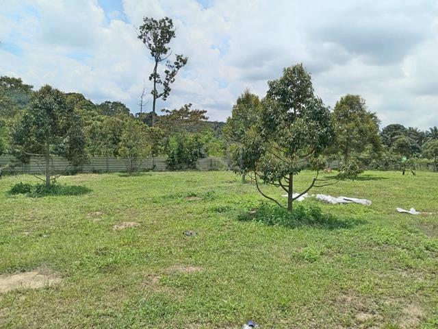 BERBALOI [FREEHOLD 4.29 Ekr] Dusun Durian, Tampin N9 1