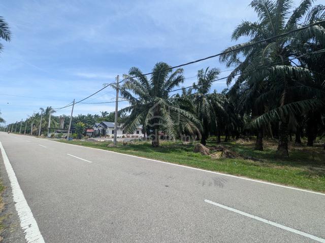 Murah, Mampu Milik Tanah Seekar Tepi Jalan Seminit ke Pantai Kelanang 1