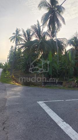 Sabak Bernam Selangor 1