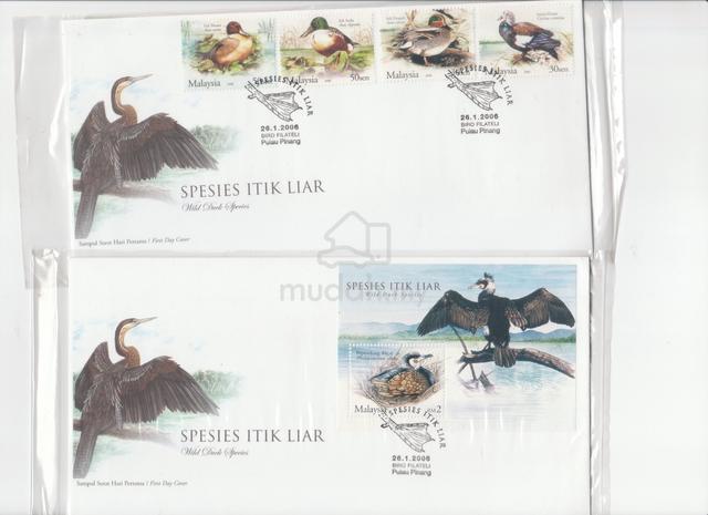Carousel Image Selected