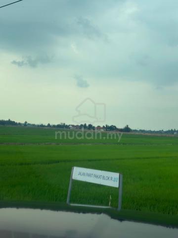 Tanah Sawah Hasil Tuaian Mukim Tanjung Karang, Kuala Selangor 1
