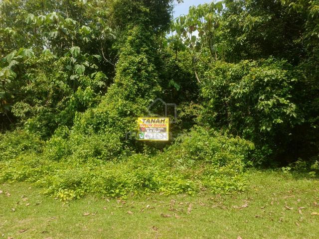 Tanah Pertanian untuk dijual 1